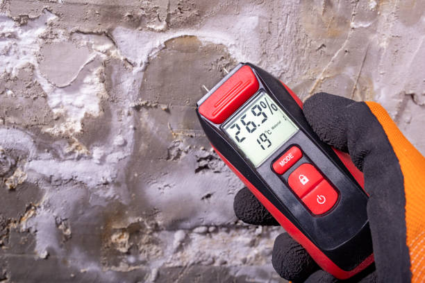 Best Toxic Mold Removal  in Tahoma, CA