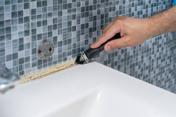 Best Emergency Mold Removal  in Tahoma, CA