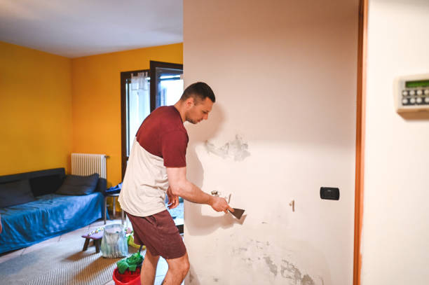 Best Local Mold Removal Service  in Tahoma, CA