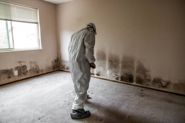 Best Mold Testing  in Tahoma, CA